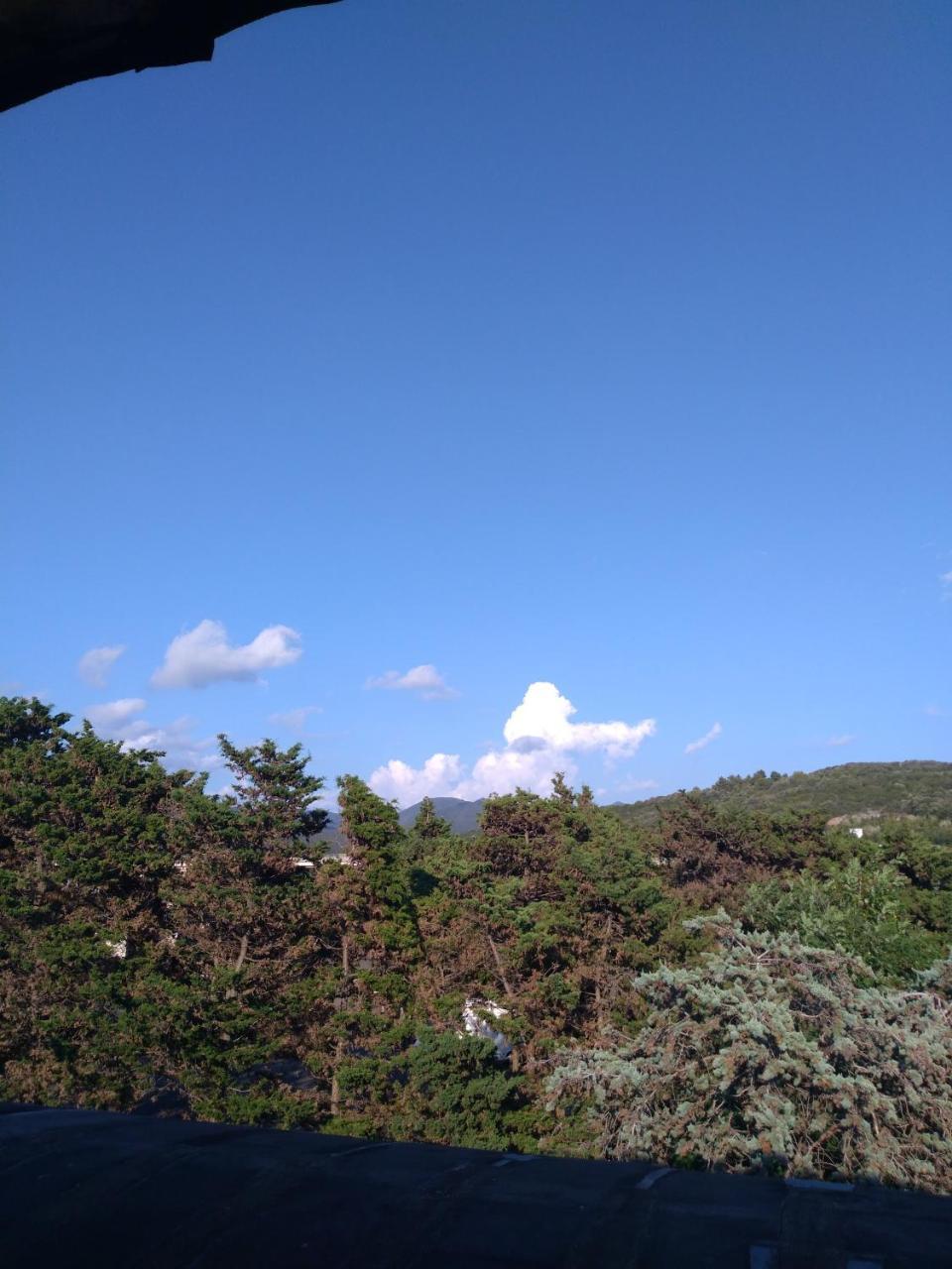 Acquaviva Experience B&B San Vincenzo Dış mekan fotoğraf
